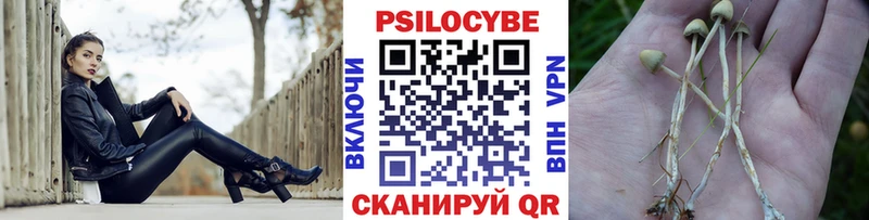 Псилоцибиновые грибы GOLDEN TEACHER  ОМГ ОМГ ССЫЛКА  Карпинск 
